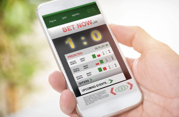 Ho To Best Betting Apps In India Without Leaving Your House