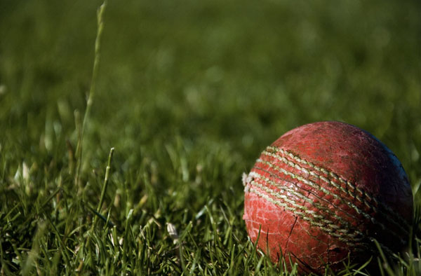 Cricket Ball. Pic Credits: Unsplash