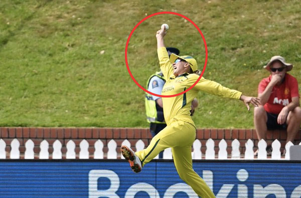 Ashleigh Gardener grabs one-handed Stunning Catch against South Africa. PC: ICC/Getty Images