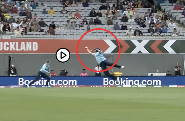 Heather Knight grabs one-handed flying catch against New Zealand to dismiss Lea Tahuhu. PC: Disney+Hotstar