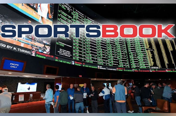 What You Need To Know About SportsBooks