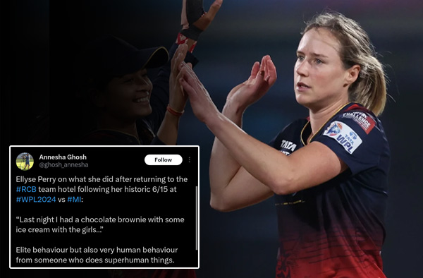 Twitter Hails Ellyse Perry's All-Round Show including 6 Wicket Haul & 40* Runs