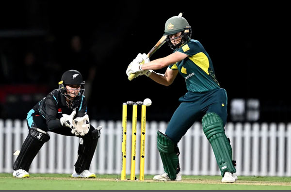 Watch Highlights Australia completes clean sweep over New Zealand in T20I Series ahead of T20 World Cup 2024. PC: Getty