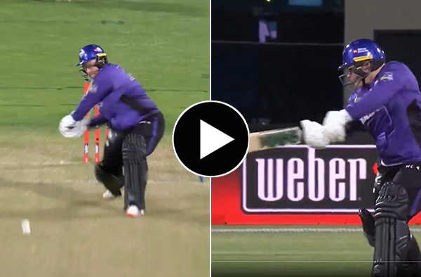 Watch Highlights: Lizelle Lee's Unbeaten 77 Secures Hobart Hurricanes' Maiden WBBL Title